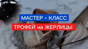 ТРОФЕЙ на ЖЕРЛИЦЫ! МАСТЕР-КЛАСС!