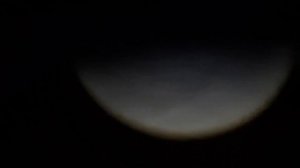 Ночная охота на лис//Хатсан 125