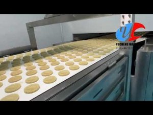 Full Automatic Mooncake/Cookies/Maamoul Machine