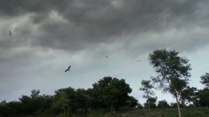 Сиреноголовый | мини фильм - Siren-Head