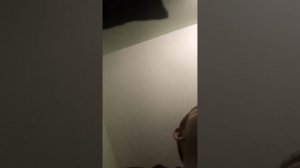 что-то делаю