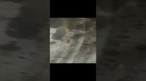 разборка задней подвески омега б