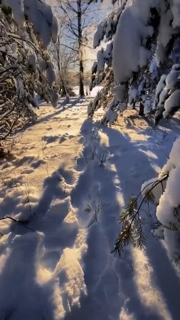 От продюссеров сериалов (читай ниже😉)