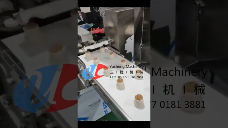 Glutinous Rice Shaomai Shumai SIomai machine