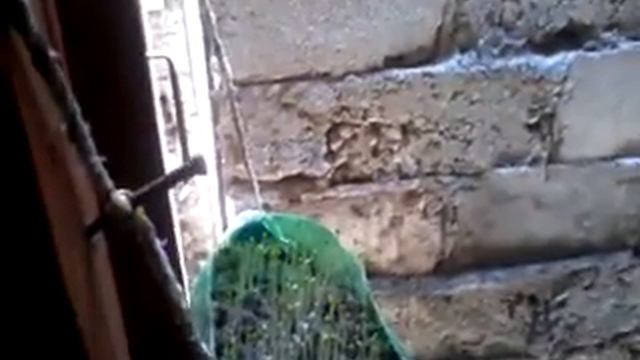 Jhyal ma kheti, Agriculture In window in Nepal смотреть онлайн