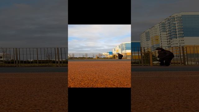 марадона бог