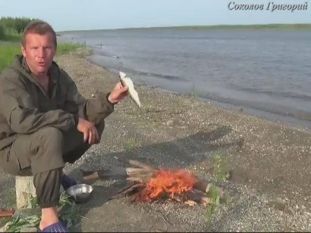 Как закоптить рыбу без коптилки