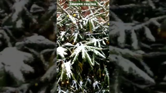 Зимняя сказка