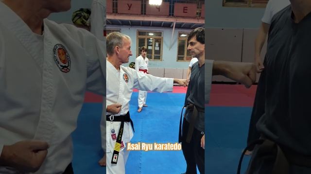 Удар цуки на разных дистанциях. Ротация кулака. #karate #каратэ #asairyu