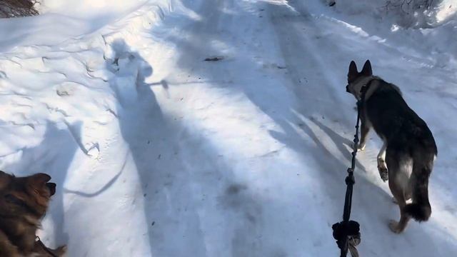 Мы сами выбрали это. Такая жизнь. Загородная жизнь. Спустило колесо.