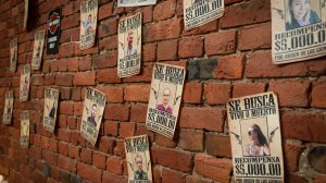 Новогодний корпоратив SnakeWay 2025г