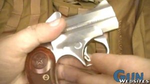 .45 Colt / 410 Shotgun Mini Derringer