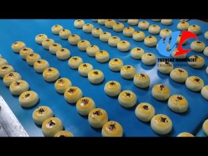 Double Lane Puff Pastry Line with Egg Wash Brushing Sesame Dusting Machine