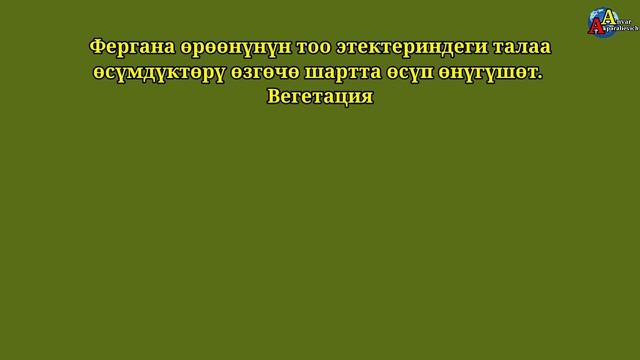 Өсүмдүктөрдүн бийиктик алкактуулук боюнча таралышы. Видеосабак. 8-класс