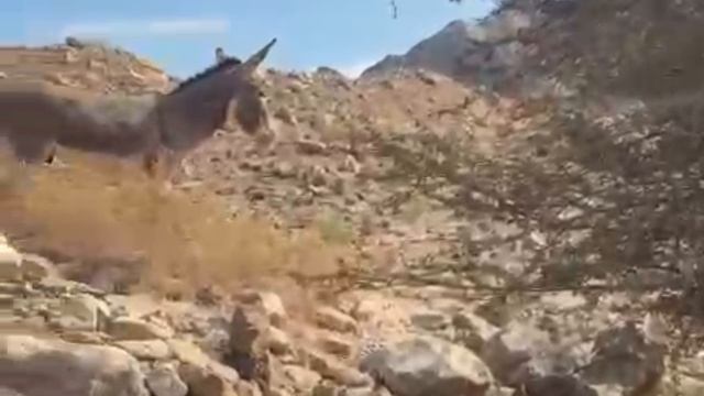 Сказочный город Хатта. Дубай. ОАЭ.