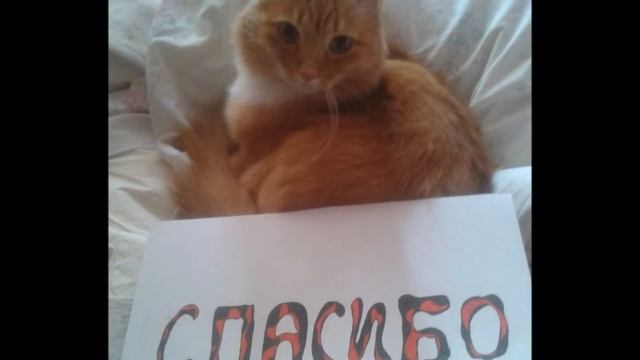 Нюте посвящается... смотреть онлайн