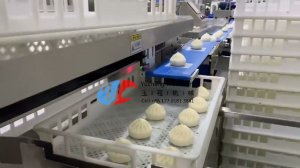 YC-868 Steamed Bun Paw dimsum machine Paper Put pinch Siopao machine