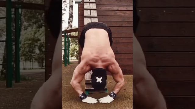 #calisthenics #тренировка #трицепс #дельты Мои 55 лет.