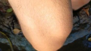 Опять увяз в грязи по колено