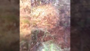Природный парк Самаровский чугас города Ханты-Мансийска.