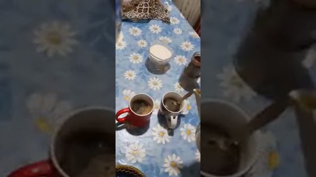 правильный кофе смотреть онлайн