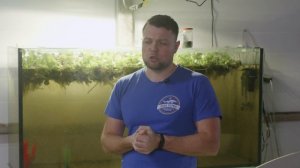 Серебристый окунь - обзор нового объекта Аквакультуры