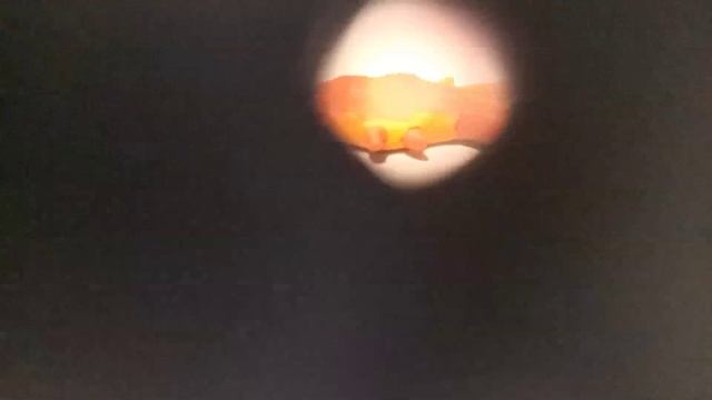 35 серия—КРАБ 3 смотреть онлайн