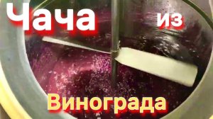 Чача из виноградных выжимок. Ставим брагу и делаем первый перегон на ПВК .Часть 1