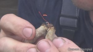 Добывание огня из крапивы