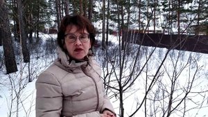 Зимний лес. Ива. Лечебные свойства