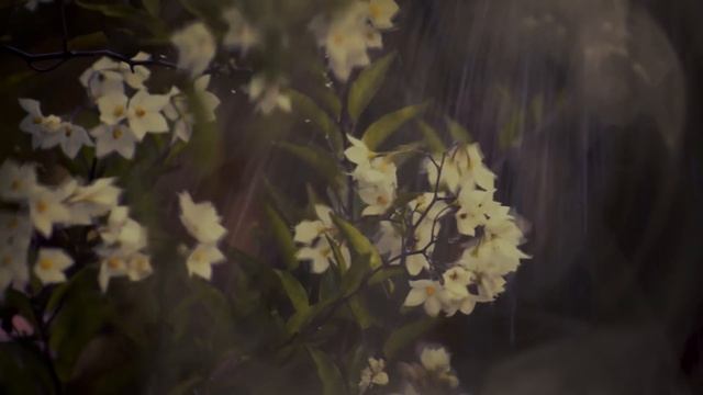 История Кайрона Хормана смотреть онлайн