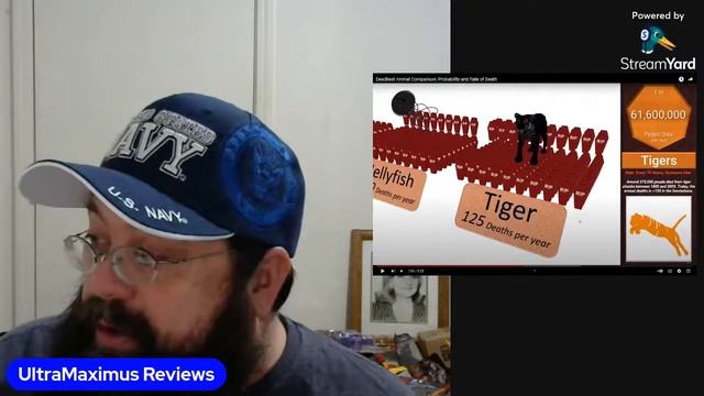 🔥 REACTION: Deadliest Animal Comparison смотреть онлайн