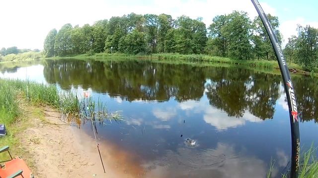 Отличный клёв в летнюю жару в низовьях Березины!!! Трофейный лещ, плотва, густера, подлещики