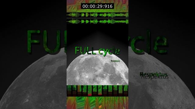 Respektus - FULL cycle #shorts #music