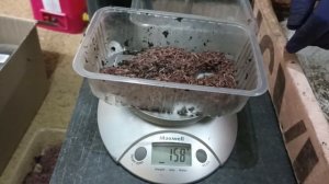 И всё-таки комбикорм рулит!