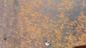 Стрельба из Вепря 308 win по металлическому листу 12 мм.