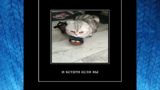 почему не было видео так долго... #antishorts смотреть онлайн