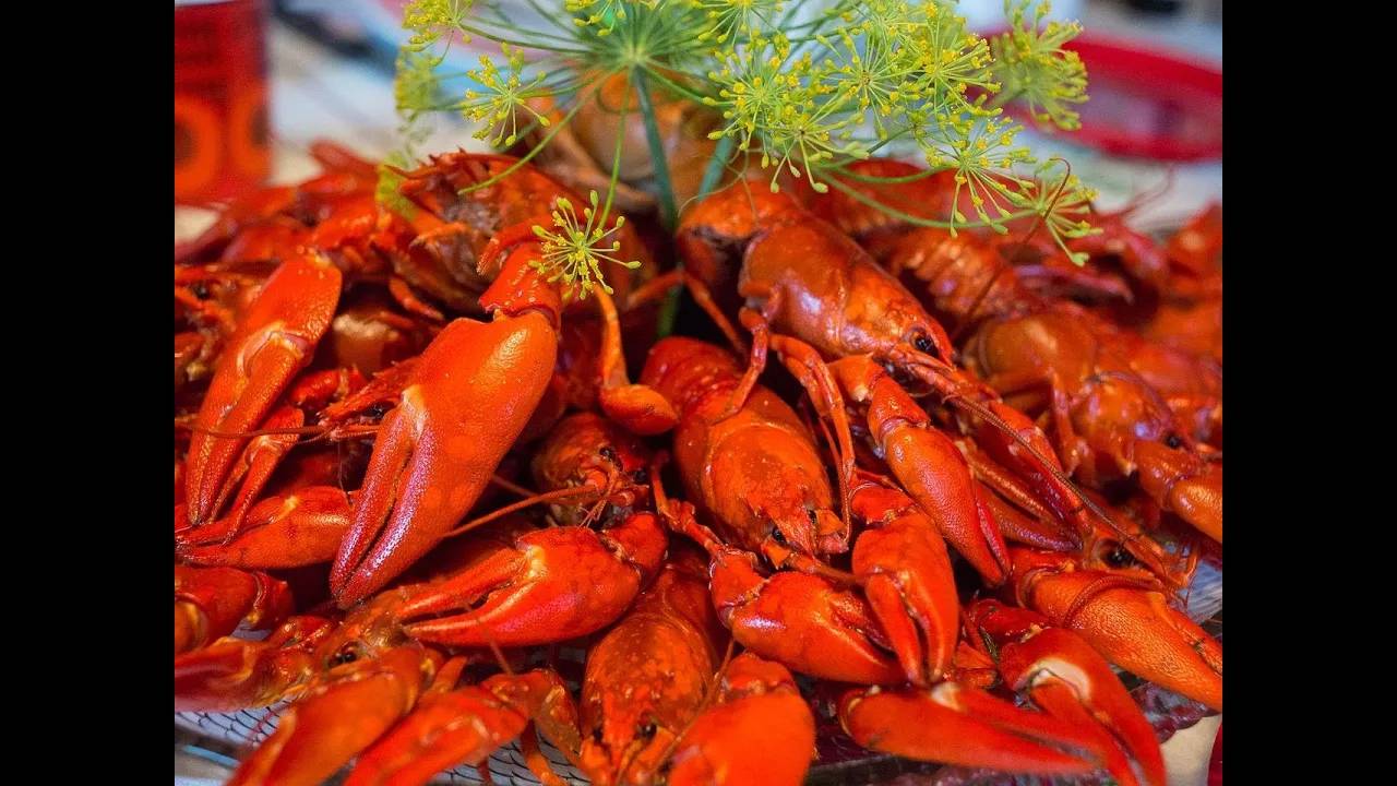 Как правильно и сколько нужно варить раков   рецепт смотреть онлайн