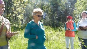 В лес с травницей. Как собирать и заваривать травы. Зопник