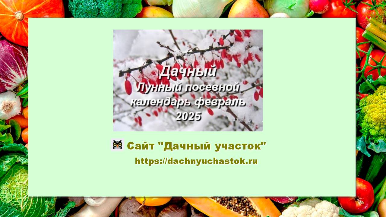 Дачный Лунный посевной календарь на февраль 2025 года для садоводов и огородников