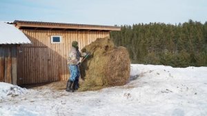 ГОСТЬЯ НАГРЯНУЛА ПОСЛЕ ОБЕДА | ДОЛГОЖДАННАЯ ВСТРЕЧА | НАСТОЯЩИЙ БОРЩ С САЛОМ И ПАМПУШКАМИ