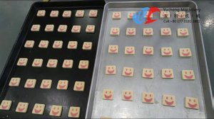 Chinese supplier Shanghai Yucheng Ultarsonc Cutter for sliced cookies frozen ice box cookies machine