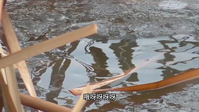 钓鱼人不畏严寒，天寒地冻也要跑出来钓鱼，几条小鱼能坚持一天！
