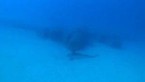 Дайвинг Текирова Турция