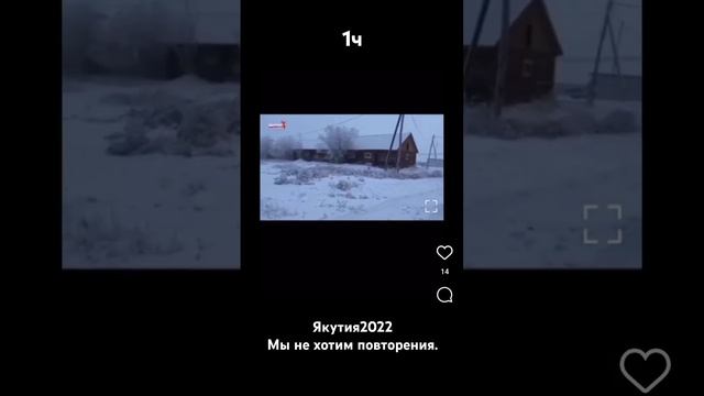 #якутск #собаки #нетживодерам #спасение #нужнапомощь #собакадруг #мысличувствадействия #мир