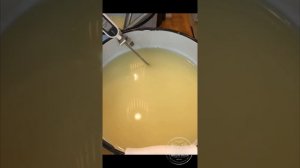 Варка быстрого голландского сыра, рецепт голландского сыра, часть 2