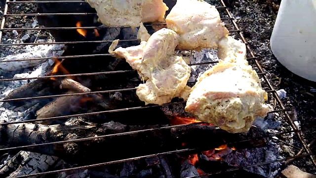 Влог: Семья Комиссаровых. Пикник на природе, шашлык. #shorts (часть 3) смотреть онлайн