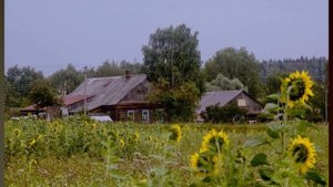 Мальчик со шпагой.Владислав Крапивин.часть 1. Всадники на станции Роса . Аудиокнига