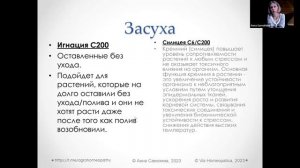 Засуха. Помощь в садоводстве. Анна Самохина
