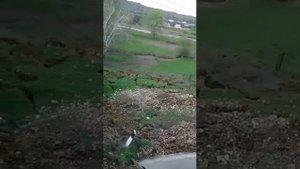 Табасаран с.Чулат